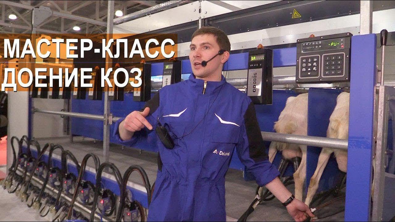 Мастер-класс 