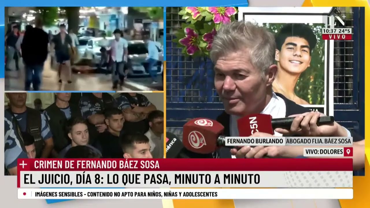 Asesinato a Báez Sosa: así se peritó la huella de la zapatilla en el cuerpo de Fernando