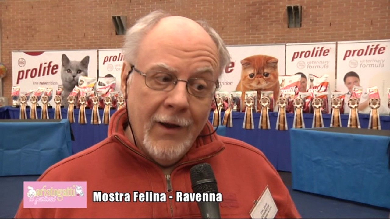 Ravenna: EXPO FELINA | DI.TV Special