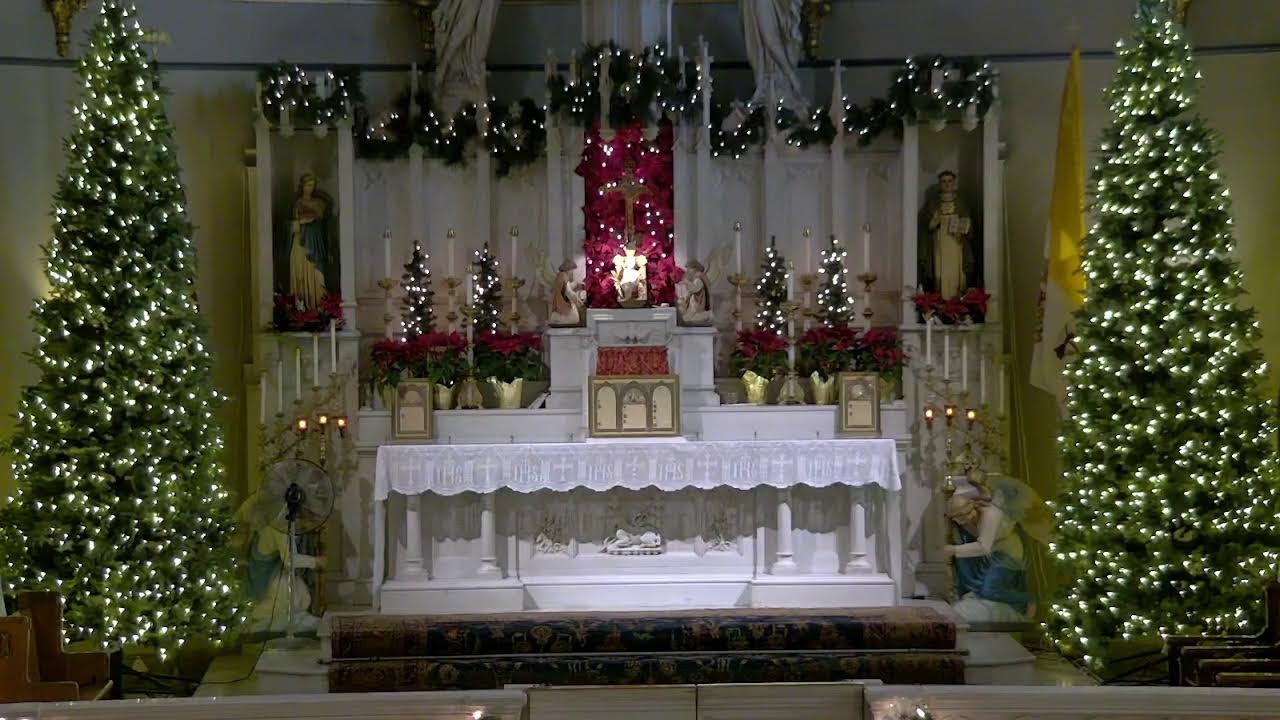 Holy Mass 1/30/26 - Feast of St. Martina