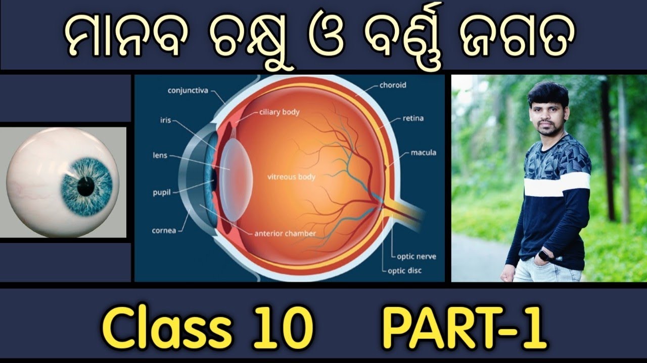 The Human Eye And The Colourful World Class 10 Odia ||Part-1||ମାନବ ଚକ୍ଷୁ ଓ ବର୍ଣ୍ଣ ଜଗତ ||