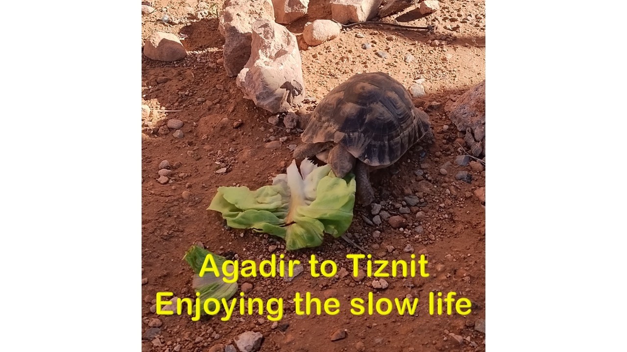 A US Skoolie in Africa - Heading to Tiznit