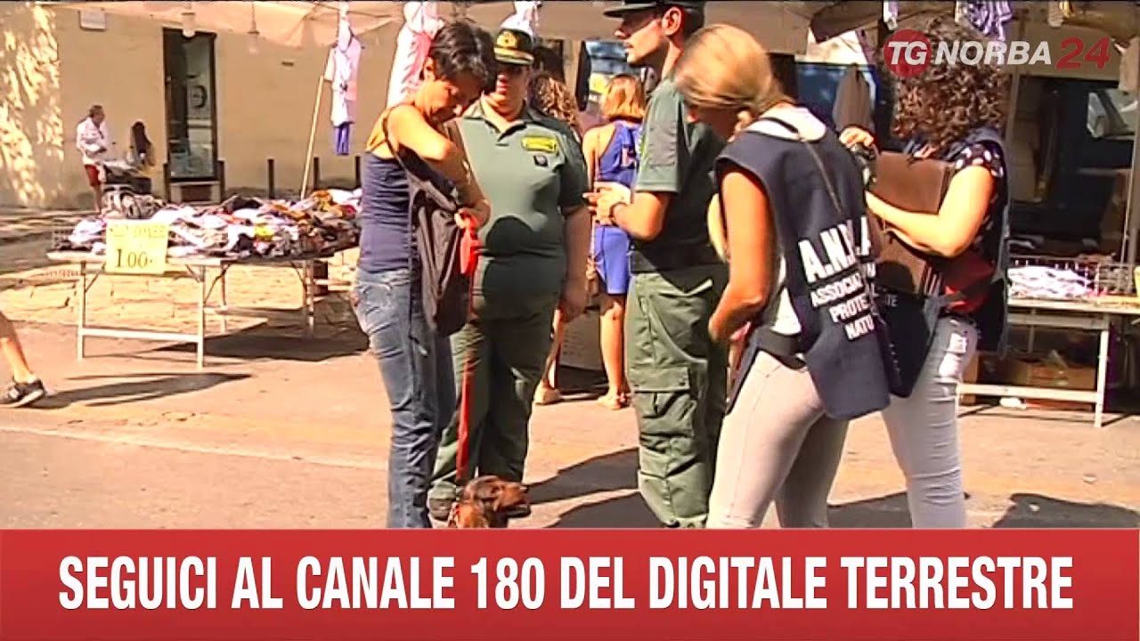 LECCE GUARDIE ECOZOOFILE VIGILANO ALLA FESTA DI SANT'ORONZO