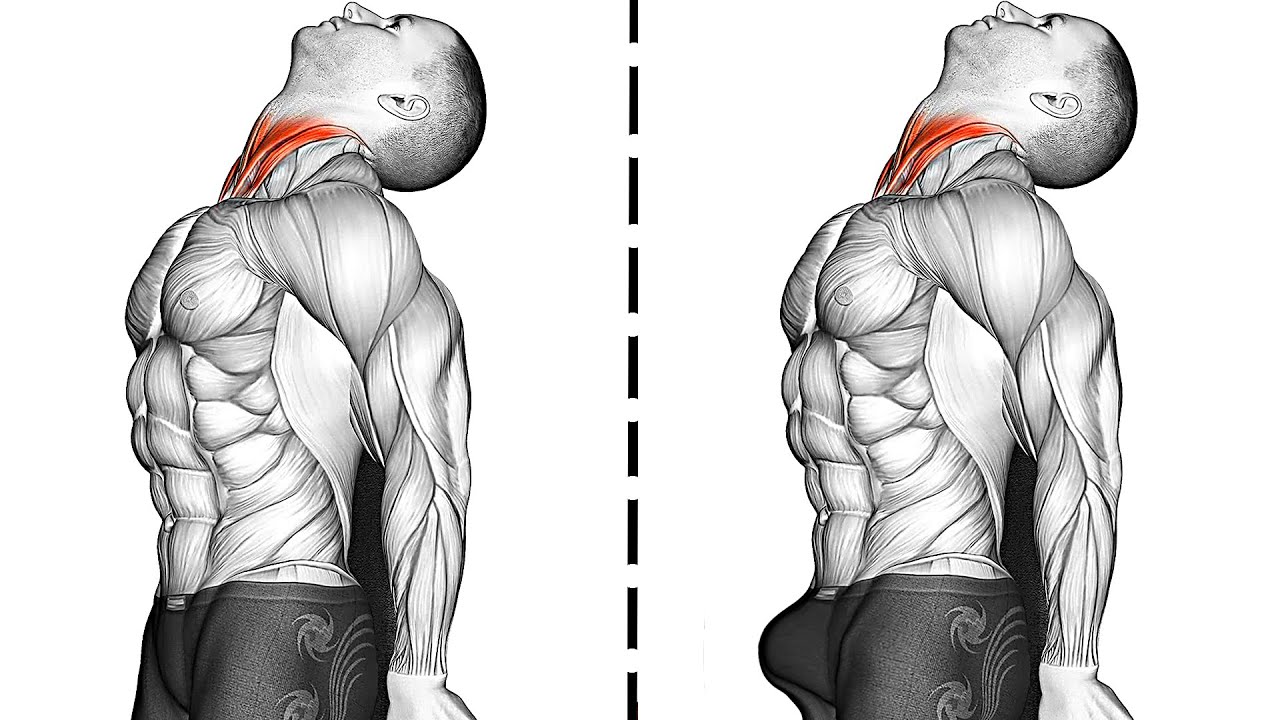 Kegel Exercises to Strengthen Pelvic Muscles