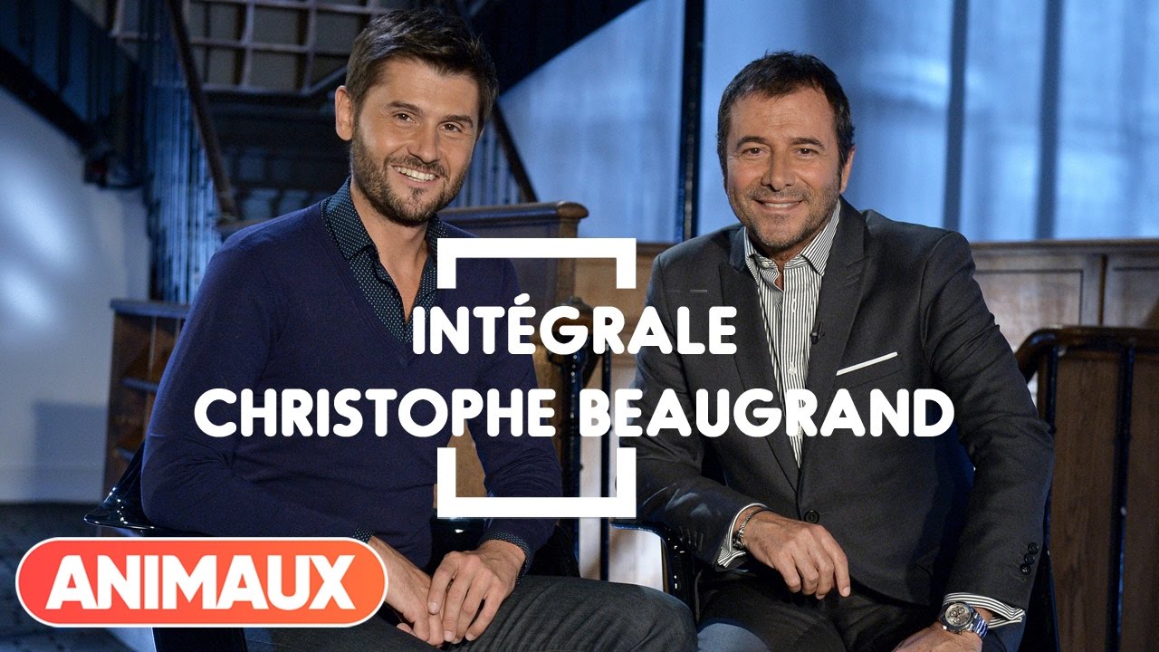 Christophe Beaugrand dans Animaux Stars (intégrale) - Animaux