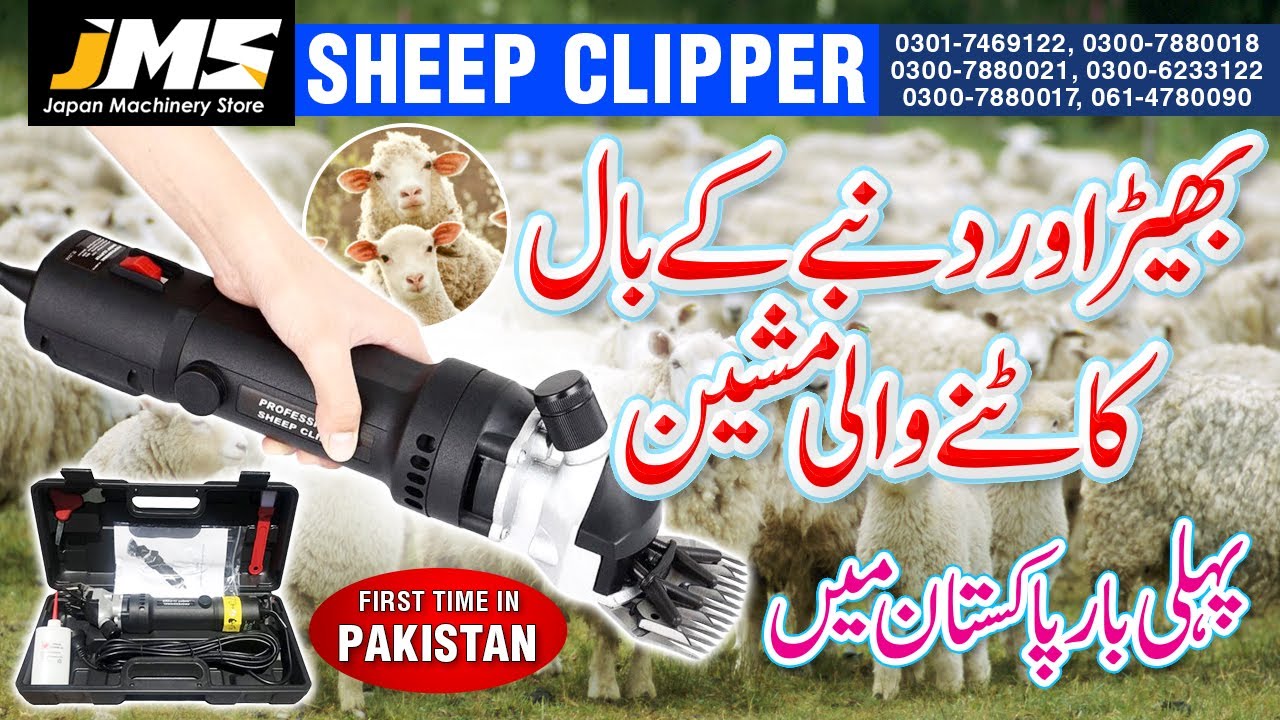 Sheep Hair Cutting Machine in Pakistan - Sheep Clipper - Sheep Hair Trimmer