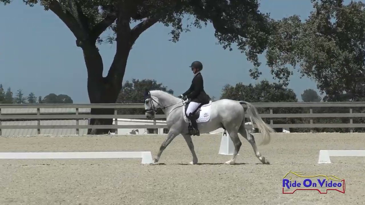 031D Greylin Booth on Modesto RE Open Modified Dressage Woodside August 2023