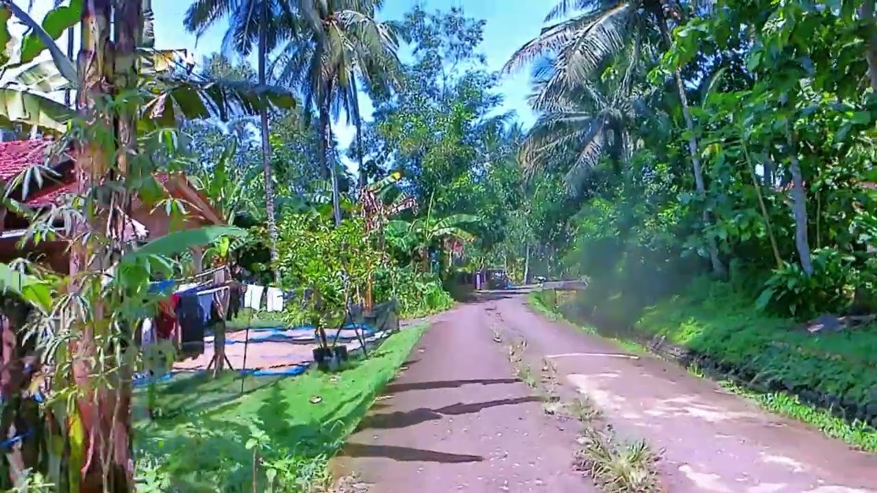 🌤️ RAMADAN 1447 H MINGGU PAGI 🌾 Pituruh Brengkol | Jalur Irigasi & Sawah Hijau Girigondo ✨