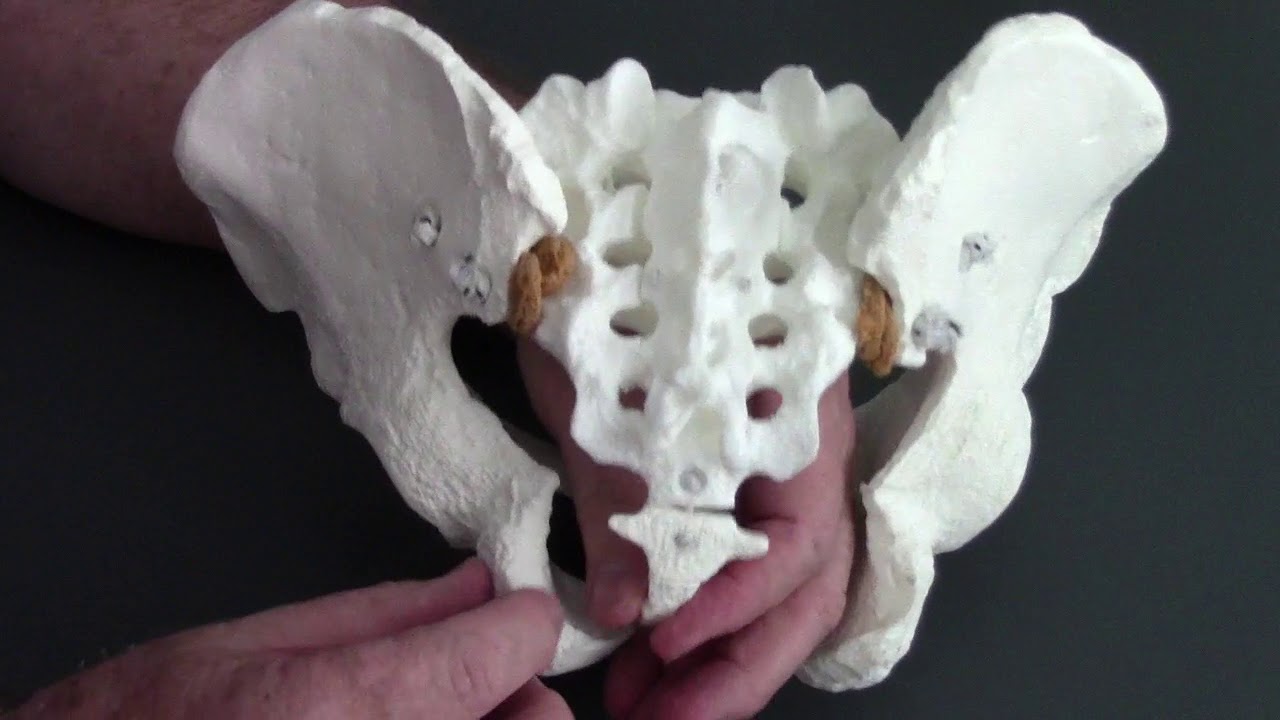 Coccyx Side Bent Self Rx