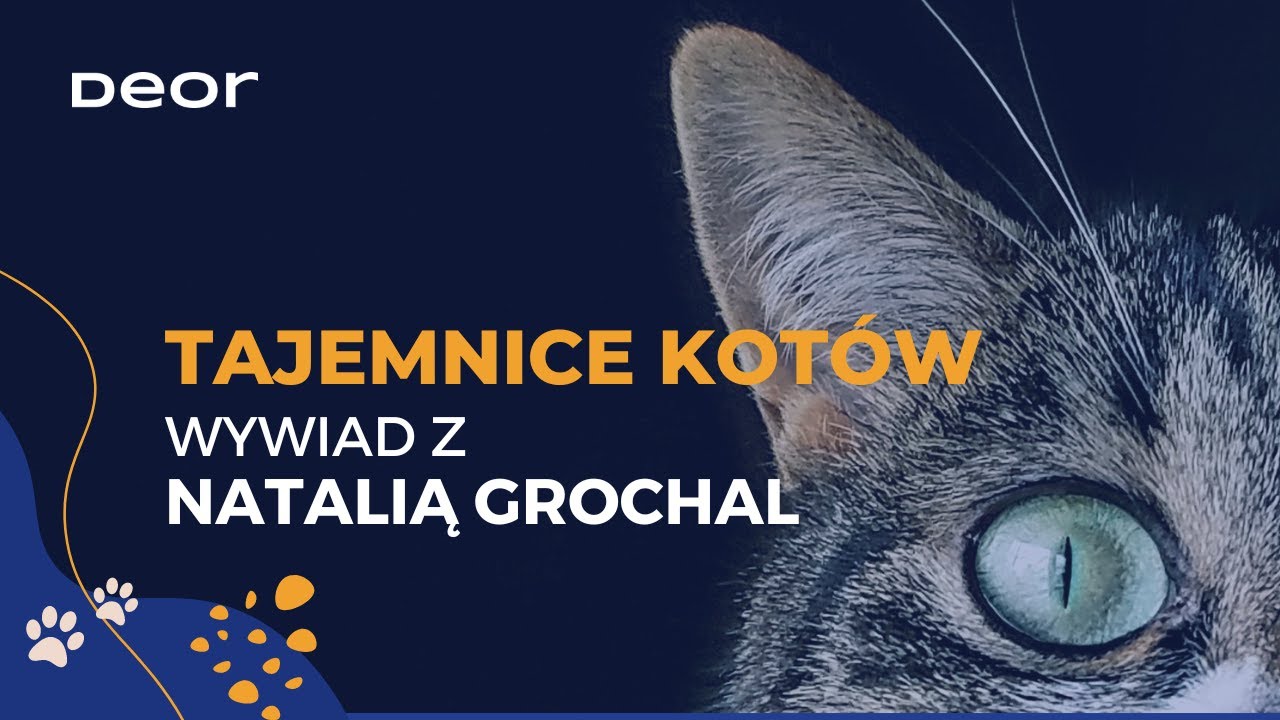 Tajemnice kotów | Wywiad z behawiorystą Natalią Grochal