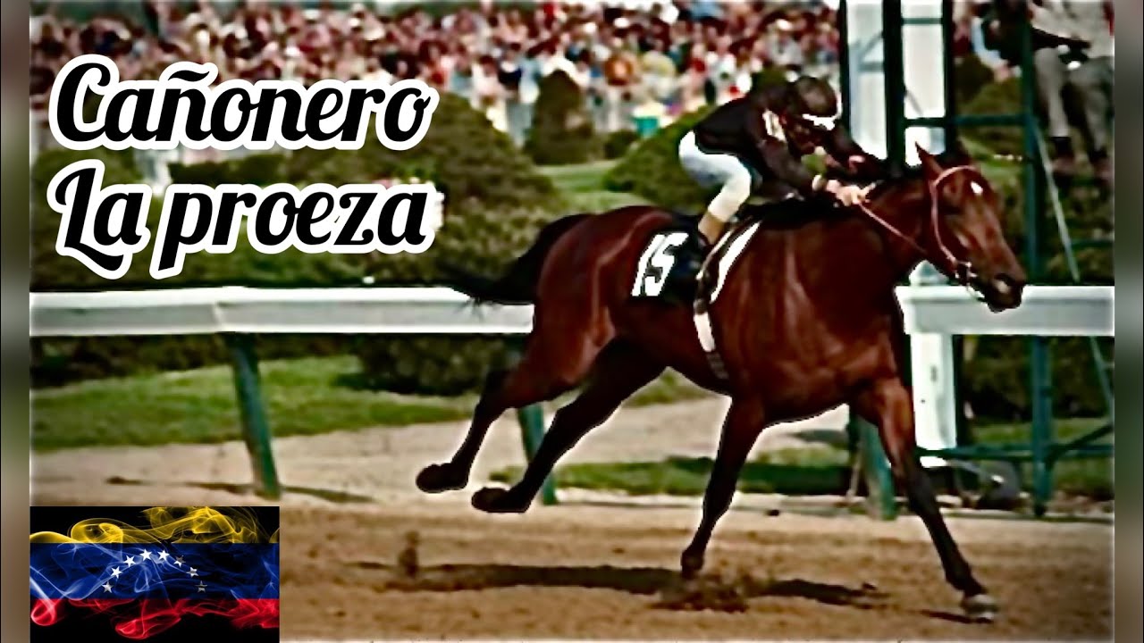 Ca&ntilde;onero la Haza&ntilde;a del mejor Caballo de carreras de Venezuela 🏇🏇