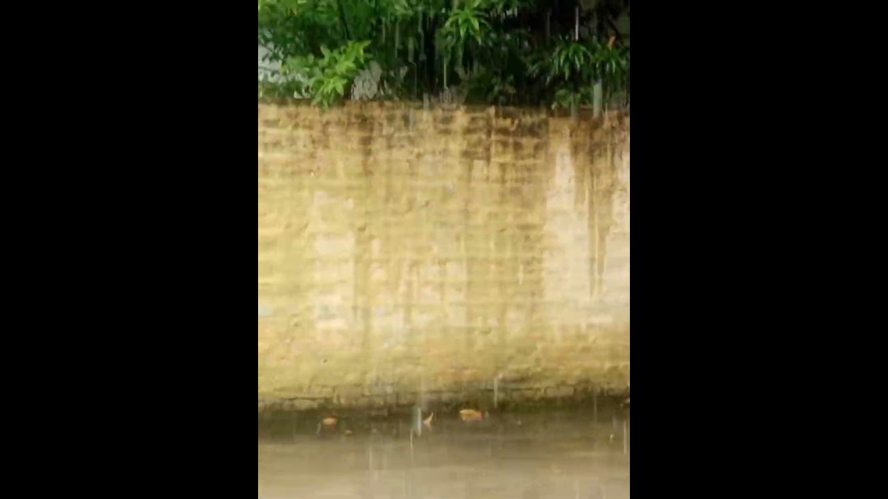 Raining 🌧️ | Waterfall 🌊 #shorts #short @waterfall_jang @WaterfallAcrylics