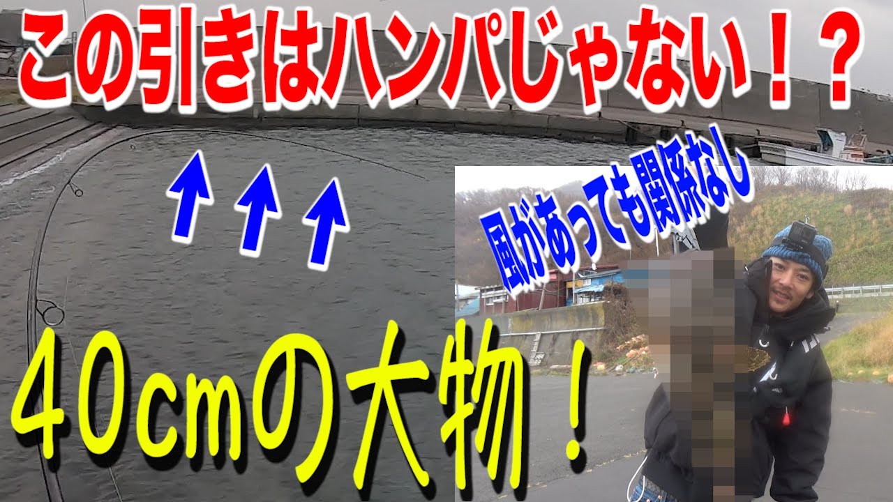【ロックフィッシュ！】留萌増毛近郊で40cmオーバーの魚をワームで釣り上げた！【むじゃき村】