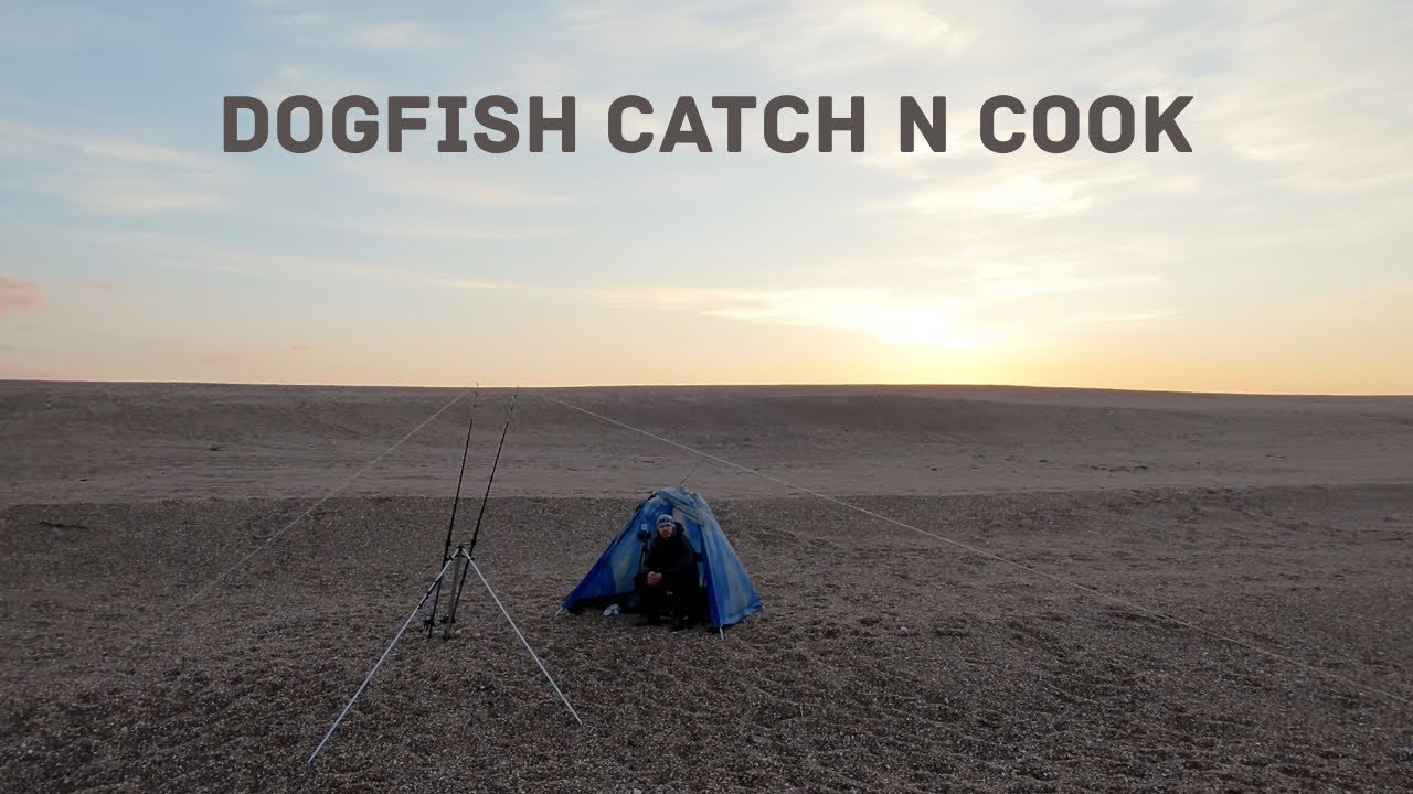 Can’t beat ‘em…Eat ‘em!! Chesil Beach Fishing at Abbotsbury How to fillet, skin & cook a Dogfish