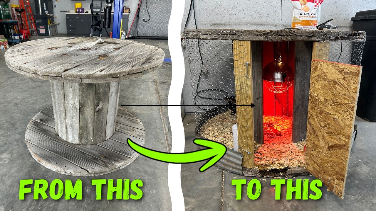 Super Easy DIY Chicken Brooder!
