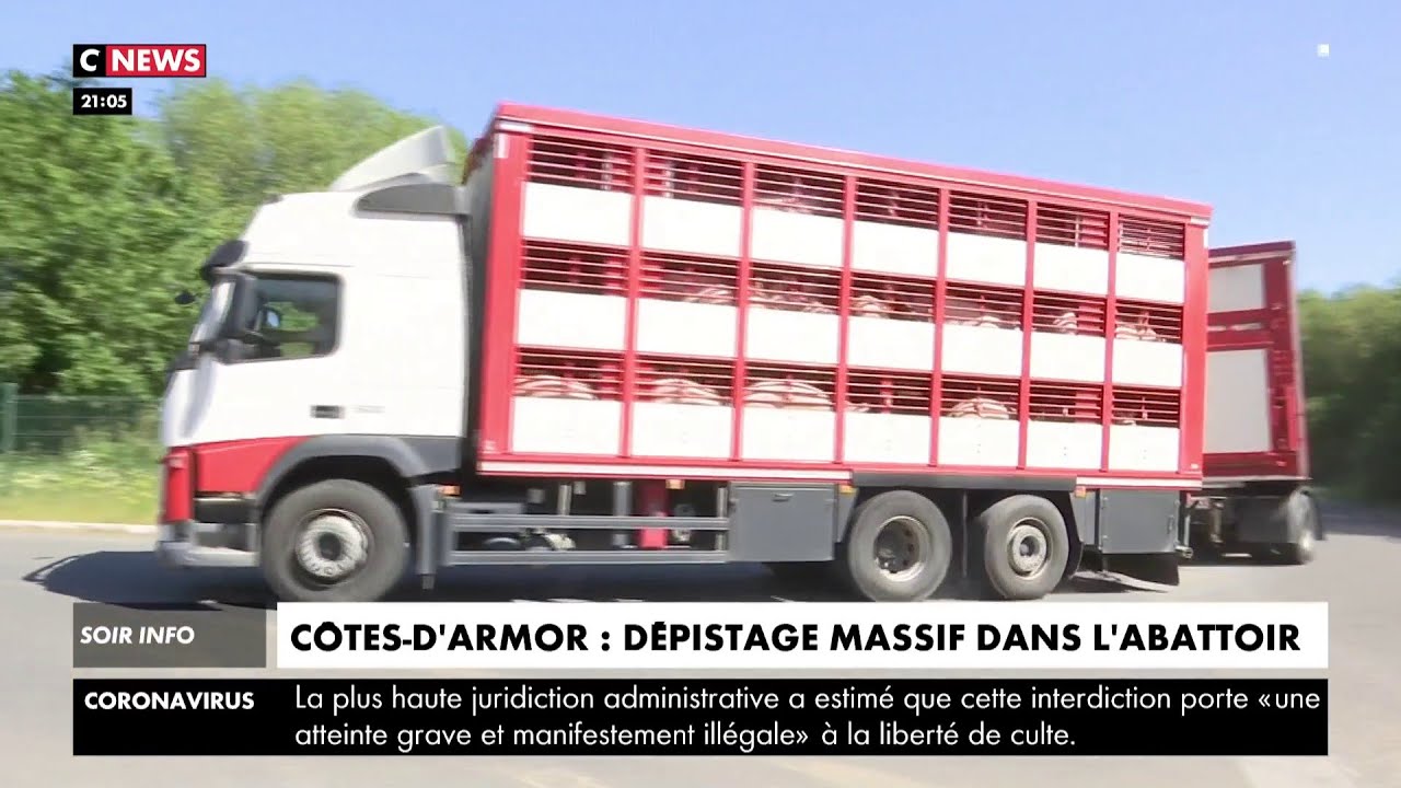C&ocirc;tes-d'Armor : 69 cas de Covid-19 d&eacute;tect&eacute;s dans un abattoir