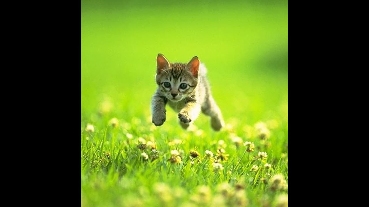 most heavenly underground beat ever made