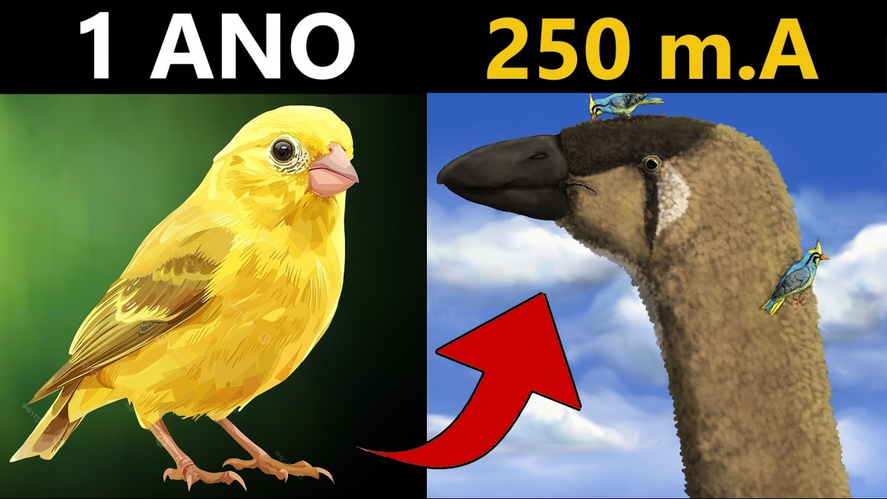 Serina: A Simulação de Evolução Mais Ambiciosa da Internet l PT. 2