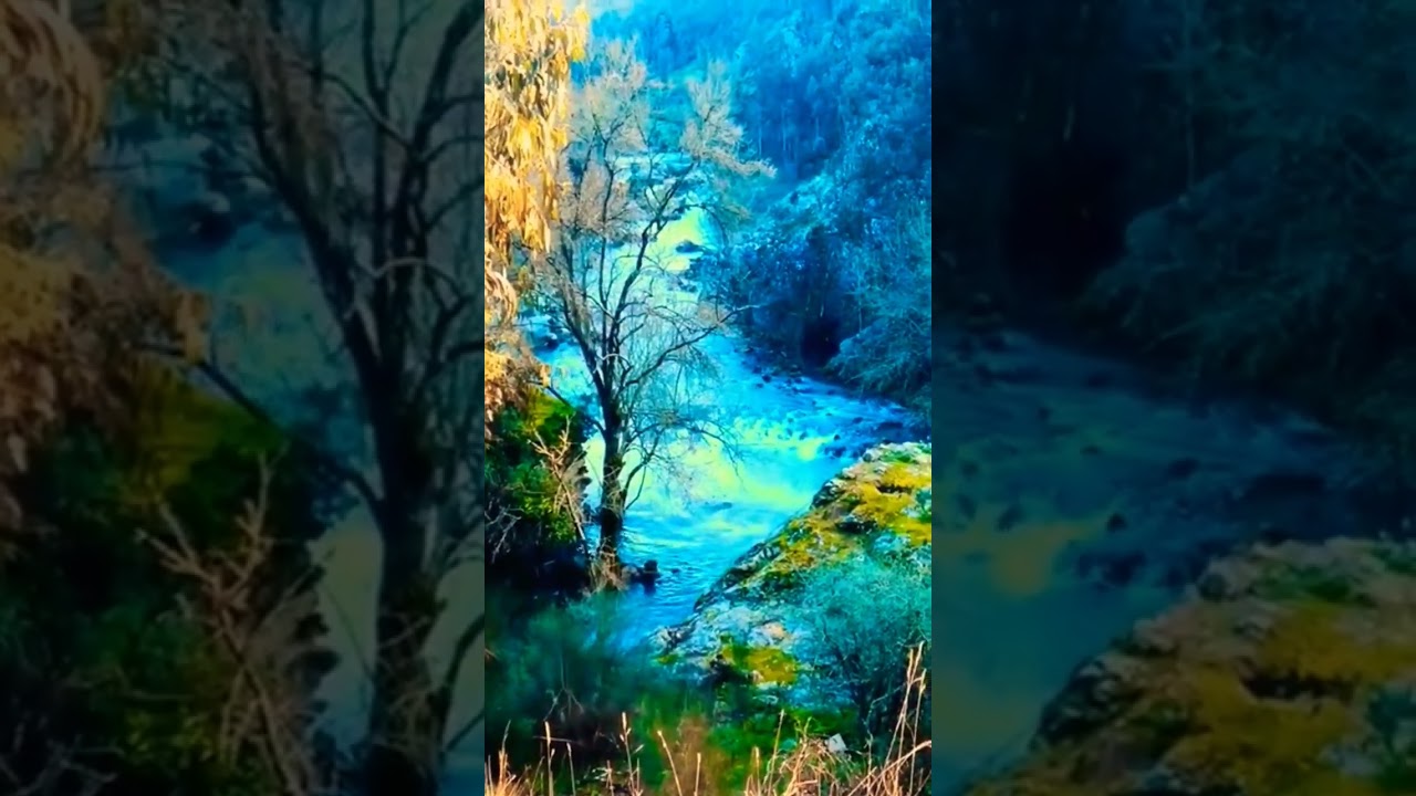 Aldeia de Couce - Valongo #shorts #portugal #viagens  #valongo  #belezanatural  #viagenspennagov