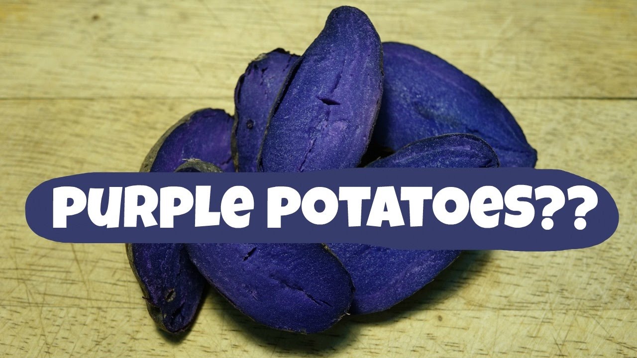 Purple Potatoes! A review of Magic Molly Potatoes from garden to table