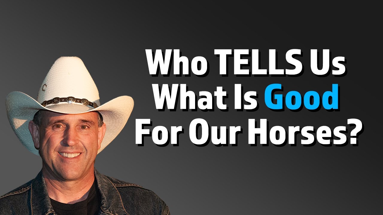 Horses And Perception Management, by Geoff Tucker, DVM.