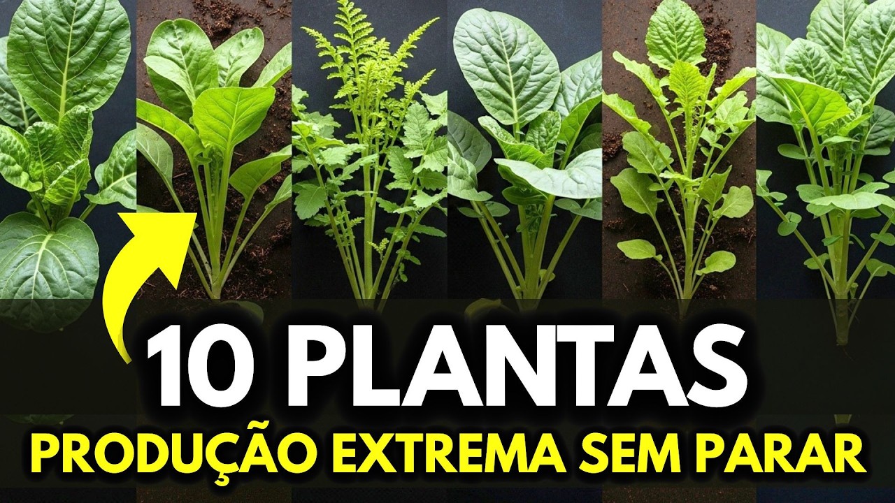 10 Plantas Poderosas Que Fazem a Horta Produzir Sem Parar Melhor que Estufa Cara