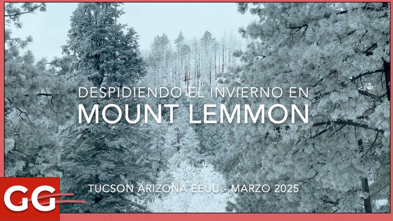Despidiendo el  invierno en Mount Lemmon, Arizona