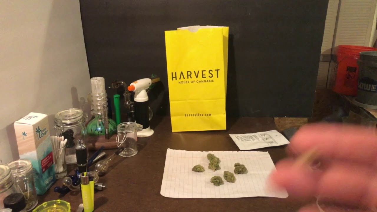 Nuclear Potion 35$ 1/8 Harvest Florida Medical Cannabis Review