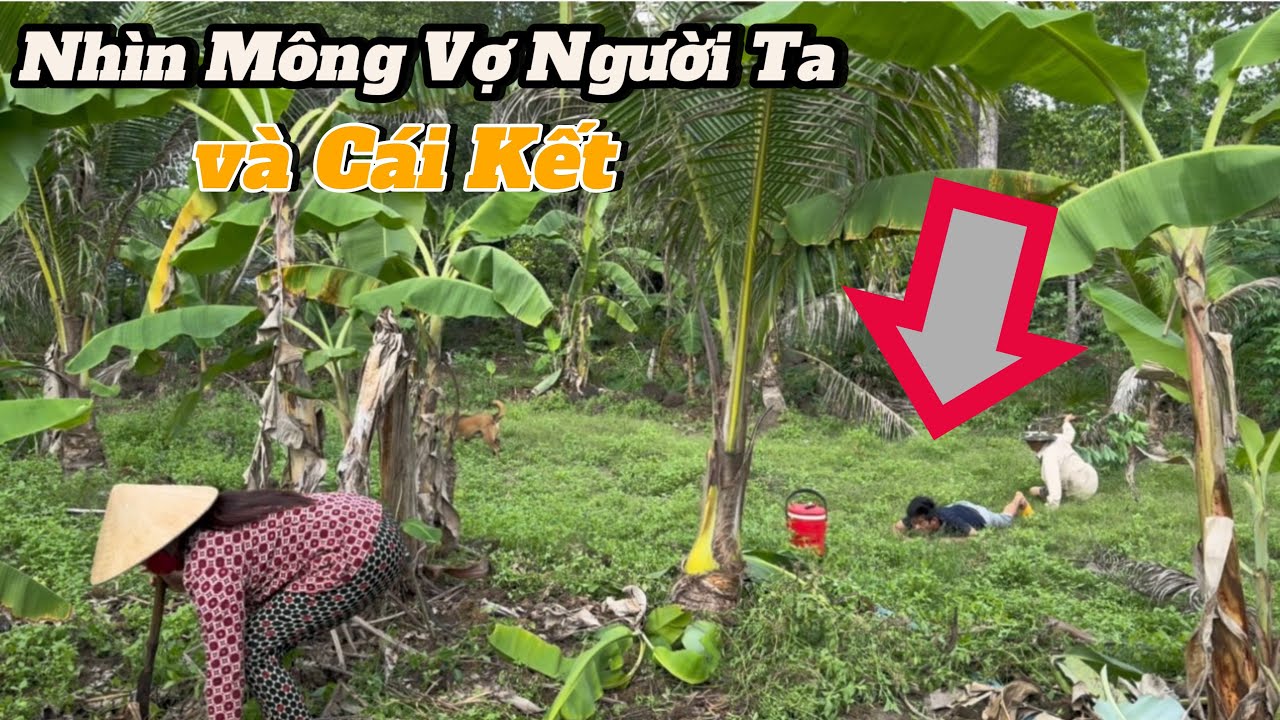 Cậu 7 cần thuê Luật Sư kiện Thuận Gòm
