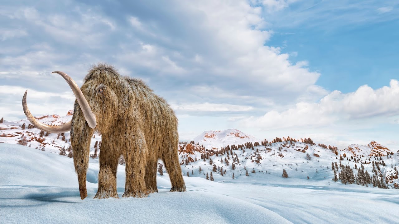 Monsters & Beasts - Large Mammoth Sound Effects