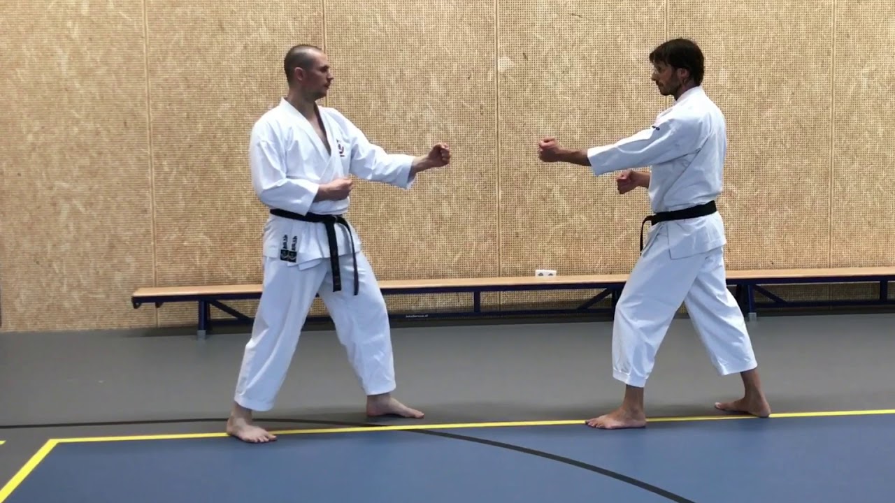 Wado Ryu Nagashi Gyakuzuki