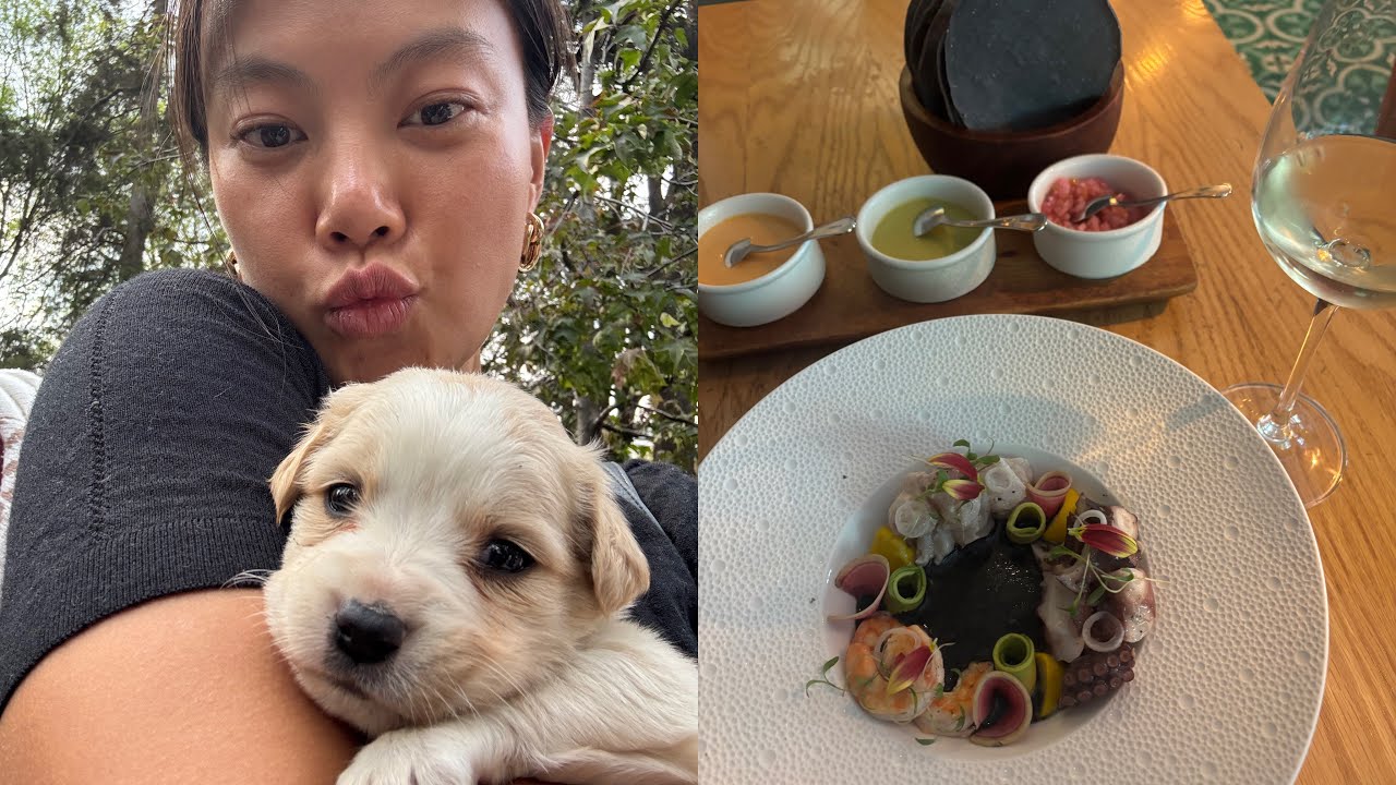 MEXICO CITY VLOG - The ART of traveling solo: seafood, street tacos, art museum & puppies!