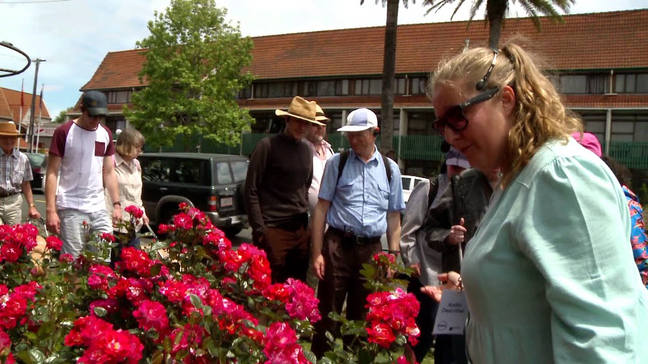 Be. Welcome Case Study: Auckland Festival of Roses