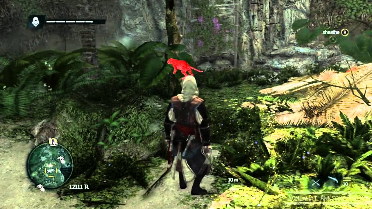 Assassin's Creed 4 Где найти Ягуара