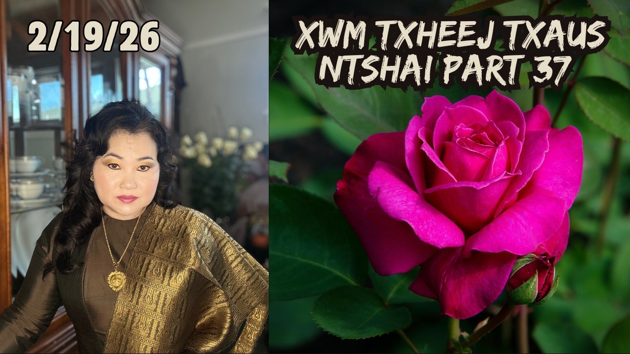 Xwm Txheej Txaus Ntshai Part 37 #Dabneeghmoob