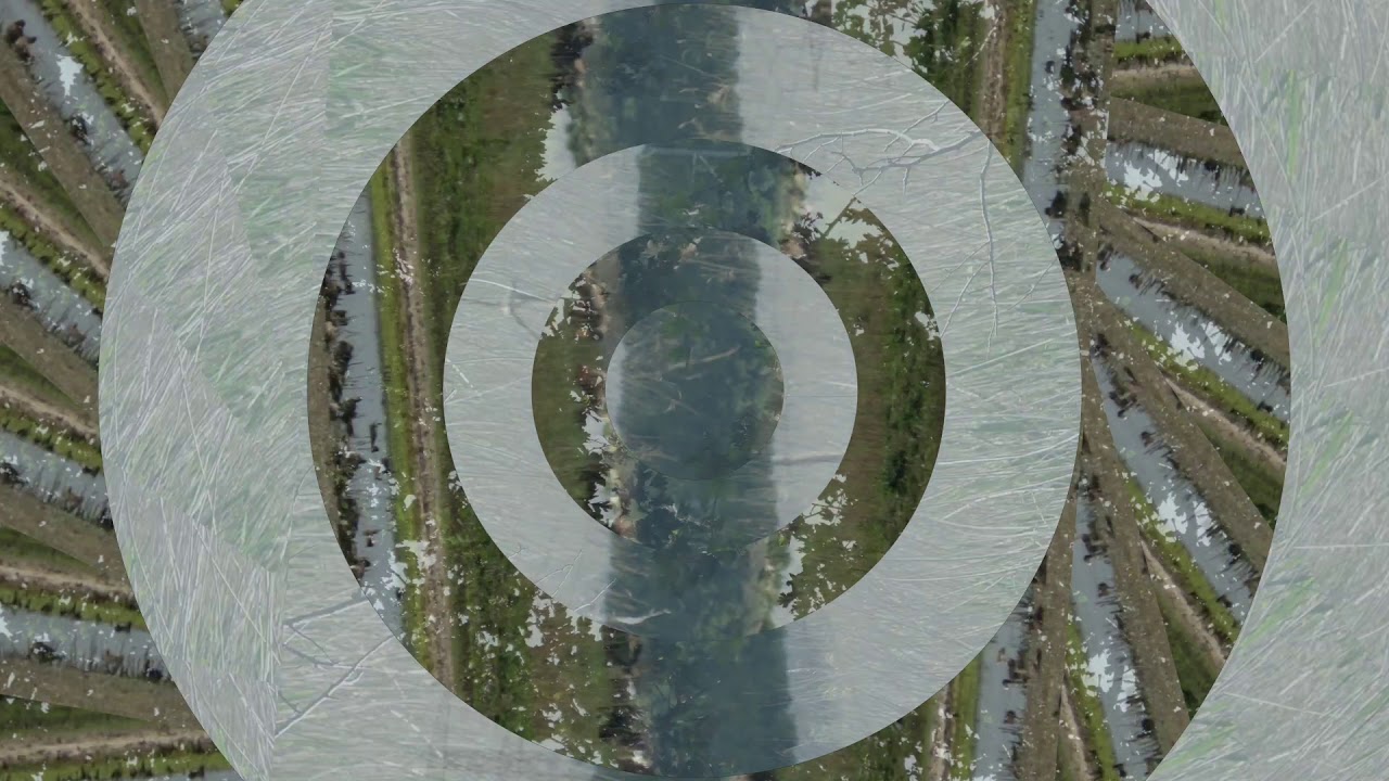 De koekoek roept mei 2020
