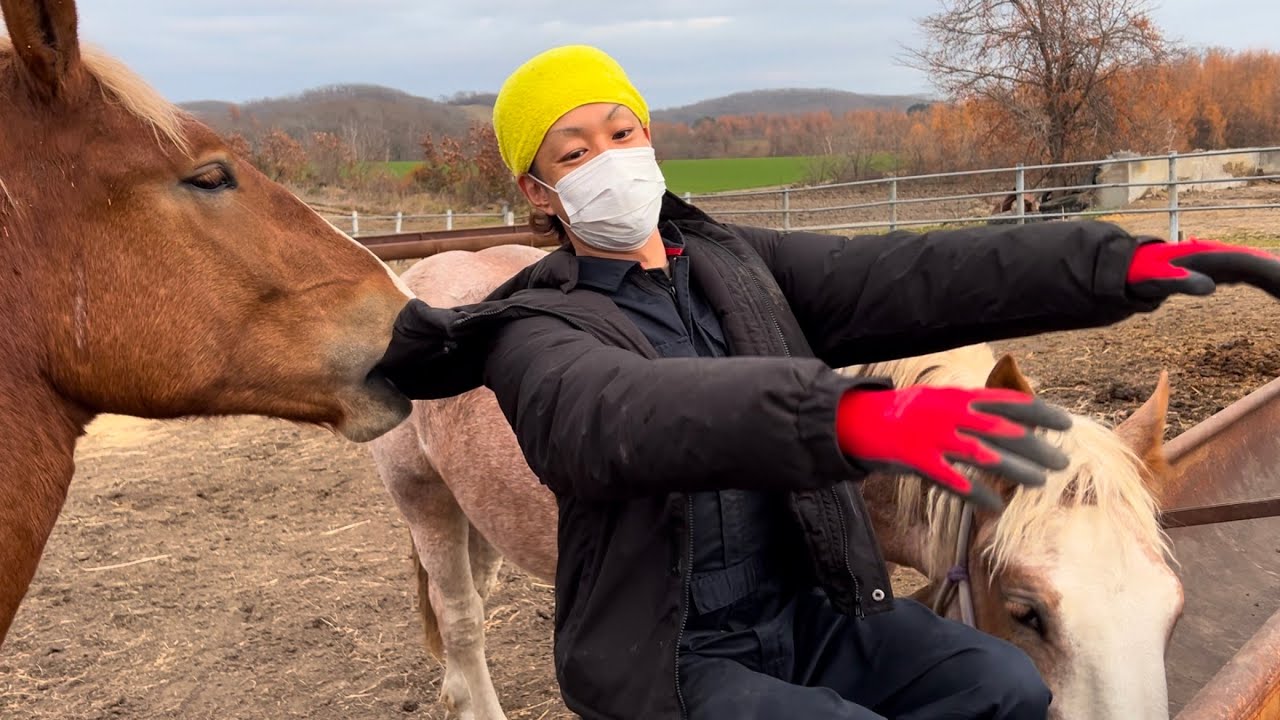 【ばんえい】ヤンチャ盛りの乙女たち