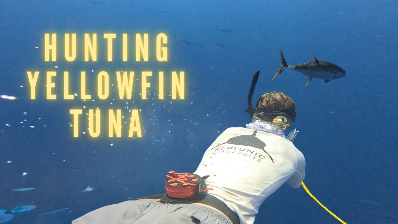 Spearfishing Costa Rica | Hunting for Yellowfin Tuna | Almost Lost Speargun