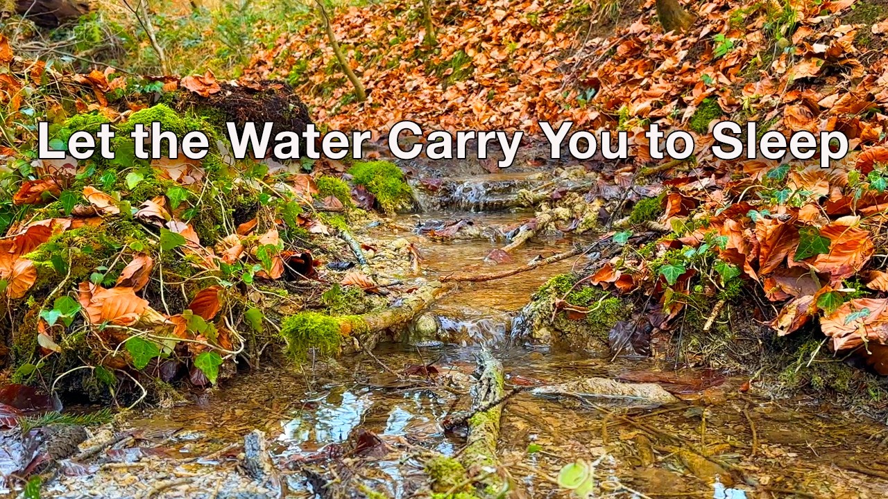 Autumn Forest Stream Cascade 🍂 Gentle Water Sounds for Deep Sleep & Relaxation