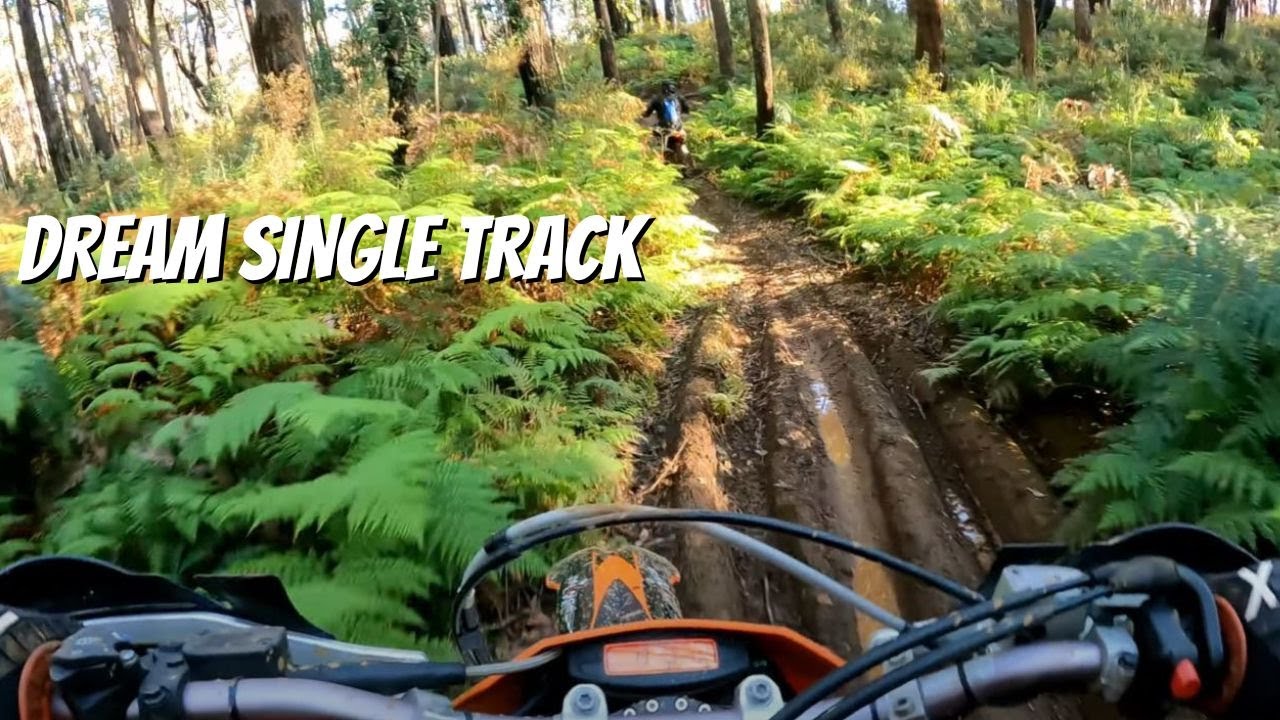 This SINGLE TRACK is INSANE!