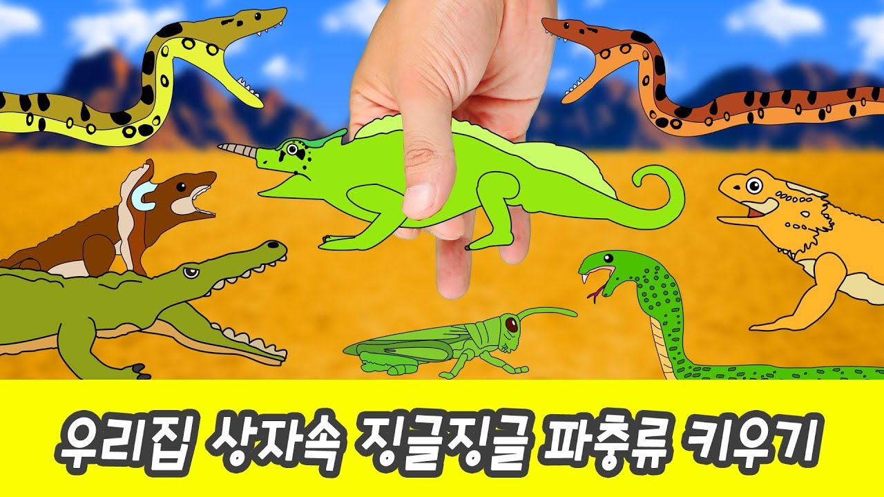 한국어ㅣ우리집 상자속 징글징글 파충류 키우기! 어린이 동물 만화, 파충류 이름 맞추기ㅣ꼬꼬스토이