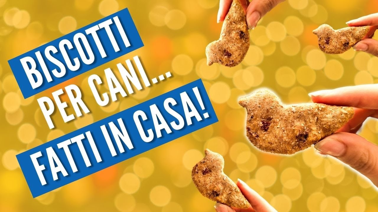 Biscotti per CANI fatti in CASA! - Ricetta super VELOCE