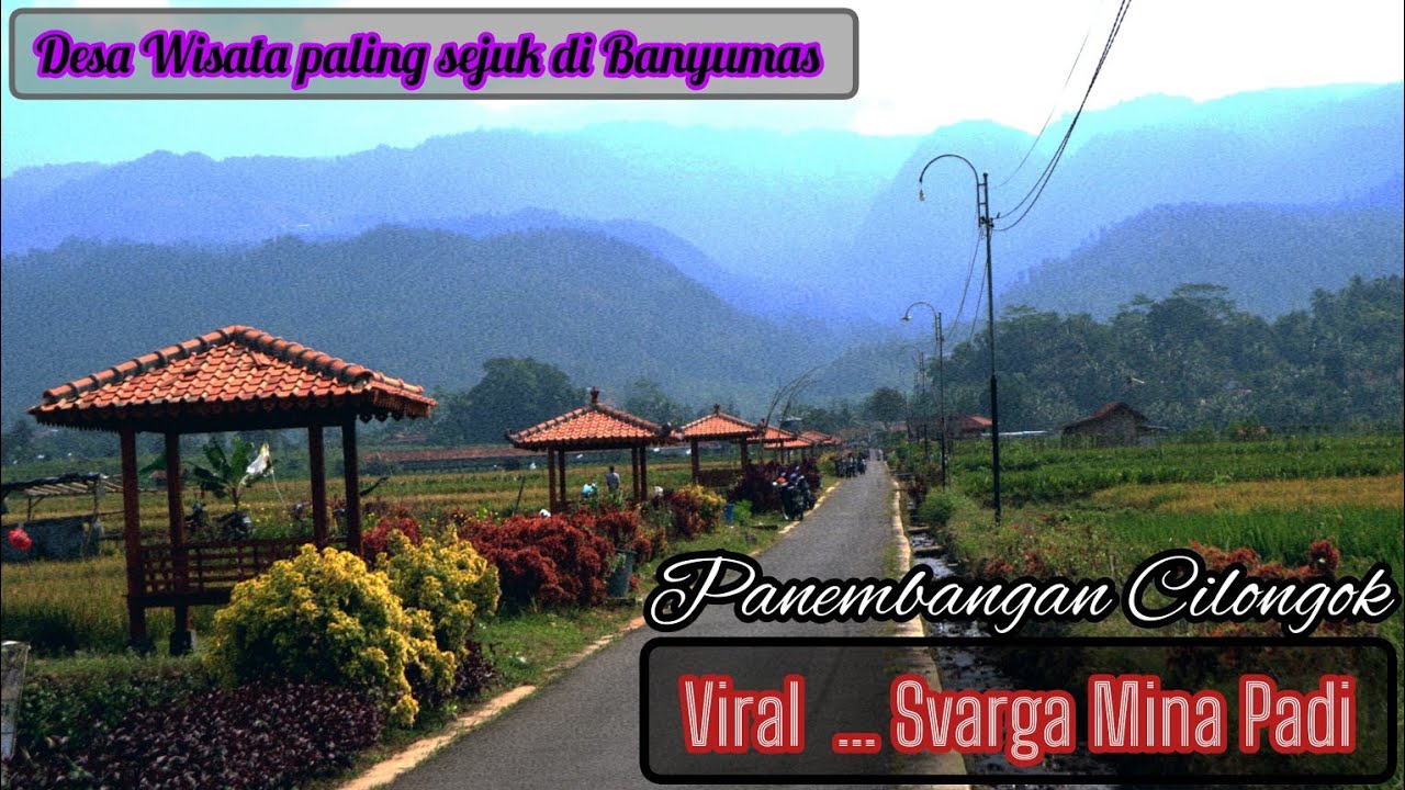 Viral ... Svarga Mina padi || Desa wisata paling hits di kec Cilongok Banyumas