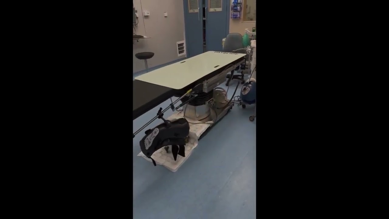 Day in the life of an ODP Students