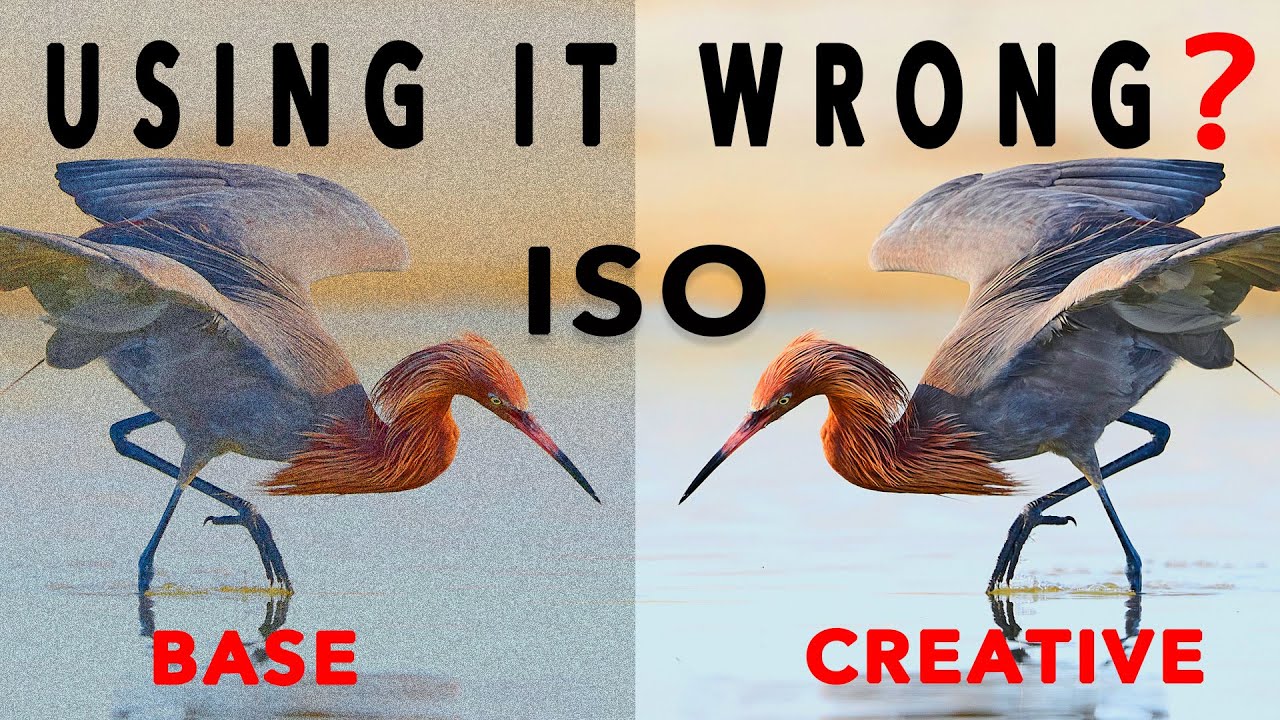 The Hidden Power of ISO To Create Your Signature Look!