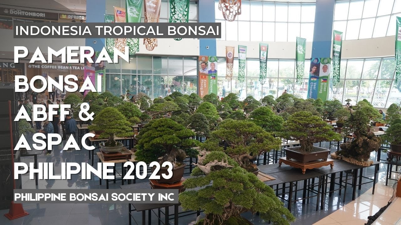 ABFF and ASPAC Manila 2023 Bonsai Exhibition by Philippine Bonsai Society Inc (PBSI)