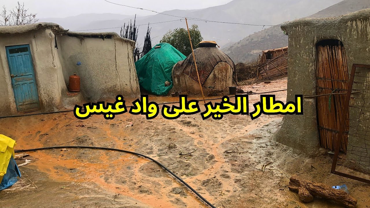 امطار الخير على قرية واد غيس ومزرعة خضراء وطهي الخبز ودجاج يهرب من الأمطار... #الحسيمة_المغرب 