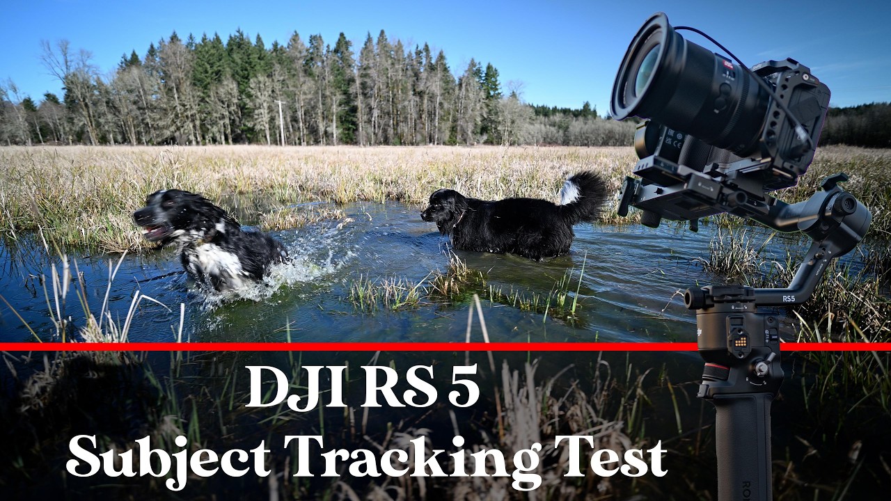 Тест модуля интеллектуального слежения DJI RS 5 - RS