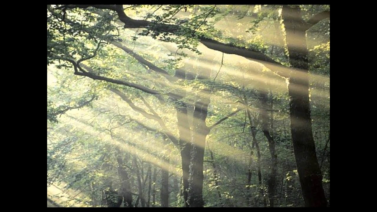 Broc&eacute;liande (composed by Sylvain Guinet) Celtic Music
