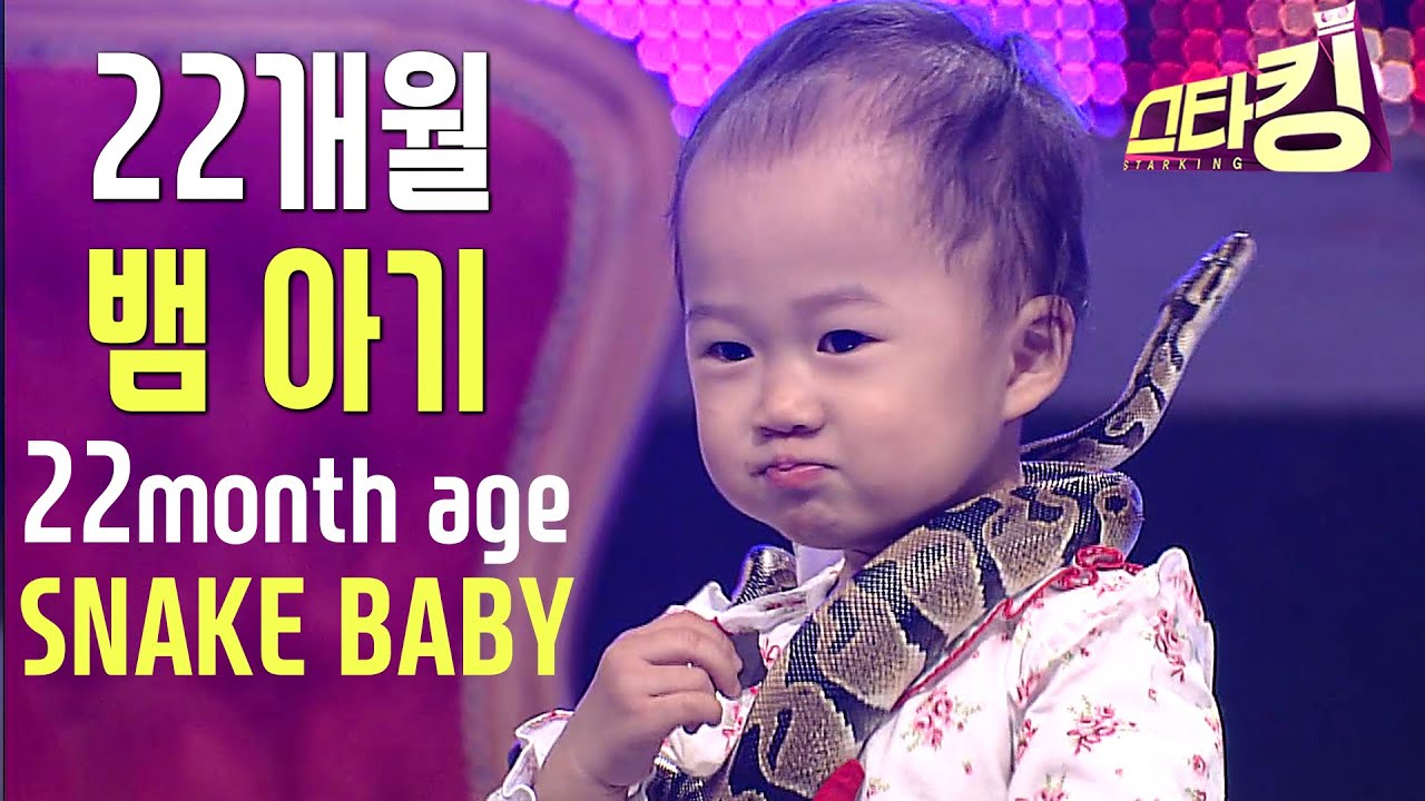 [스타킹] 생후 22개월에 뱀을 부리는 아이 | STARKING Ep. 13 | 22month age SNAKE BABY